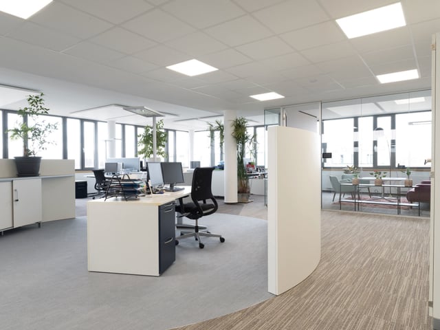 Offene Bürofläche mit Schreibtischen, einer geschwungenen weißen Wand und Pflanzen am Fenster