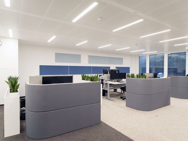 Bürofläche mit grauen, abgerundeten Stellwänden und Schreibtischen, an der Wand blaue Akustikpaneele